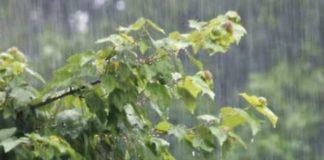 দ্য বেঙ্গল পোস্ট